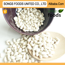 White Kidney Beans Specification and White Kidney Bean